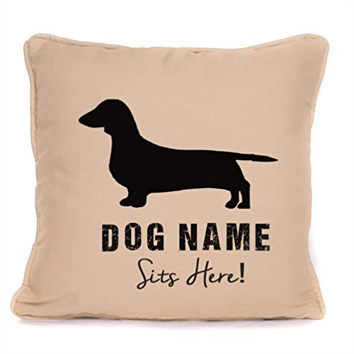 Football Cover Dachshund Cushion Covers Aston Villa Dachshund
