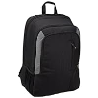 Amazon Basics Laptop Computer Backpack - Fits Up To 15 Inch Laptops