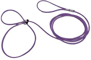 AZ MICRO MINI PIGS Piggy Poo and Crew 12-Foot Mini Pig Harness - Adjustable Harness & Leash for All Animals - Pigs, Ferrets, Rabbits, Guinea Pigs, Dogs, Cats, Reptile, and Chickens