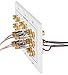 Fosmon HD8005 [3-Gang 6.1 Surround Distribution] Home Theater Copper Banana Binding Post Coupler Type Wall Plate for 6 Speakers, 1 RCA Jack for Subwoofer & 2 HDMI Ports