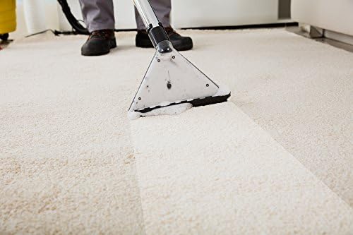 Pro-Kleen Pro+ Carpet Cleaner Shampoo 5L and Upholstery Cleaning Solution, Suitable for Homes with Pets 4 in 1 Concentrate - Image 3