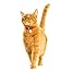 9Lives Hearty Cuts With Real Beef & Chicken In Gravy Wet Cat Food, 4/5.5-Ounce Cans (Pack of 6)