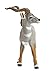 Wild Safari Lesser Kudu