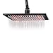 Rozin Bathroom Rainfall 12-inch Shower Head LED Light Overhead Spray Oil Rubbed Bronze