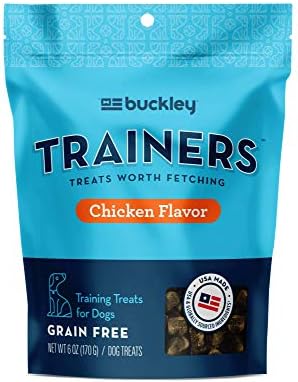 chesapeake bay retriever for sale