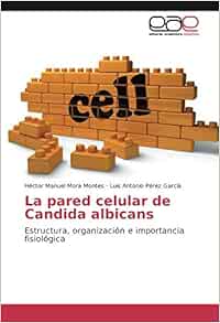 La Pared Celular De Candida Albicans Estructura Organizacion E