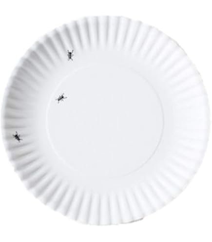 Amazon.com | 180 Degrees ME0036 