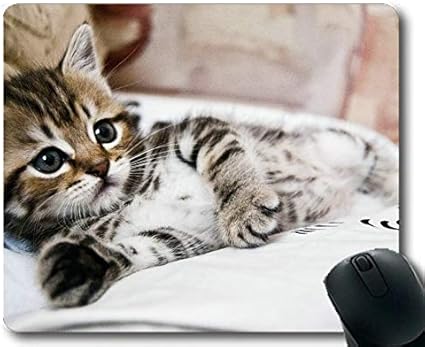 Amazon マウスパッド 猫マウスパッド コンピュータcat335用マウスマット Yanteng マウスパッド 通販