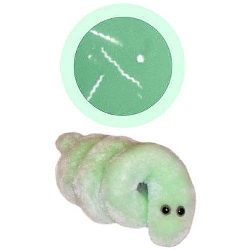 Buy Giant Microbes 57 Lyme Disease Borrelia Burgdorferi Microbe Plush