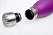 SWELL Water Bottle Amethyst 17 Oz, 1 EA