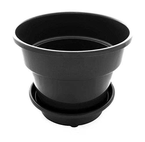 Large 10" Self Watering + Aerating + High Drainage Deep Reservoir Round Planter Pot Minimizes Root Rot & Soil Fungus in Herb, Succulent, for Indoor & Outdoor & Window Gardens (10 inch, Black)