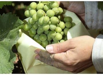 bolsas para uvas amazon