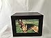 Pet Urn Peaceful Pet Memorial Keepsake Urn,Photo Box Pet Cremation Urn,Dog Urn,Cat Urn,Small Animal Urn, Size,Large, Color,Cherry, 75 cu.in