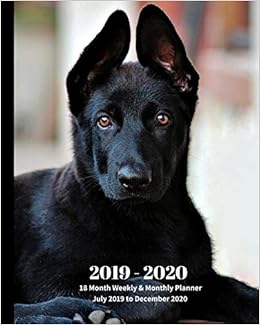 Buy 2019 2020 18 Month Weekly Monthly Planner July 2019 To