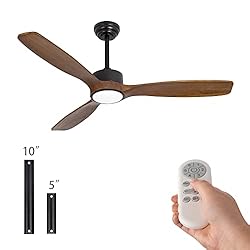 Wozzio 52 inch Indoor Outdoor Ceiling Fan with