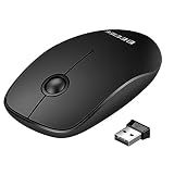 Beeiee 2.4G Wireless Mouse,2.4G Slim Wireless Mouse with Nano USB Receiver for Computer, Tablet,Notebook,PC and Mac