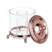 InterDesign York Lyra Vanity Cotton Swab Holder Canister Clear, Rose Gold