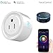 Mini Smart Socket Wifi Plug US Work with Alexa Echo Dot Voice Control No Hub Required Timing Function (2 Pack)