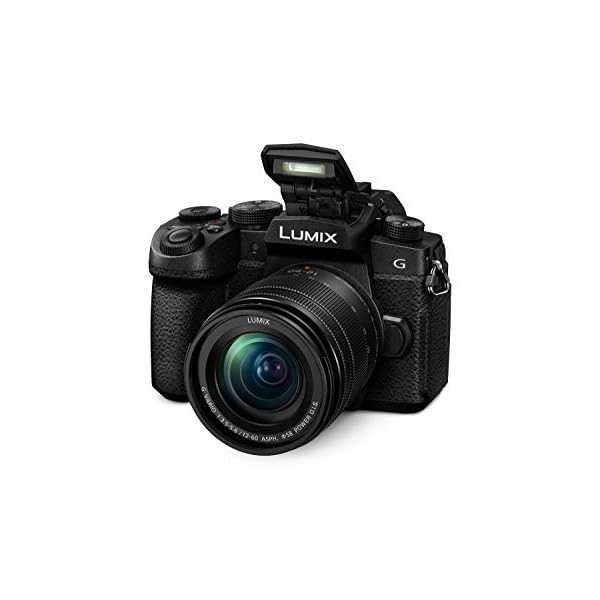 Panasonic DC-G91MEG-K Systemkamera mit 12-60 mm MFT Objektiv, 20 MP, Dual I.S., Hybrid-Kontrast-AF, 4K Fotokamera… – Bild 4