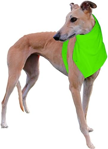 The Doggy Dickey Fleece Neck and Chest Warmer for Large Greyhounds, Neon Green