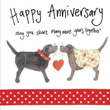 Anniversary Dogs Greeting Card - Apple & Clover - Daisy Chain Gift Company - View #3