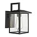 Emliviar Outdoor Wall Light, 1-Light Wall Sconce, Black Finish with Clear Glass, 20064B1