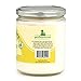 Pet's Favorite Plant Based Candles with a Cotton Wick, Clean Burning Pet Friendly Candles with a 70 Hour Burn Time, Lemon Zest Pack of 1