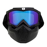 ThyWay Anti-Fog Windproof Motorcycle Goggles Riding Detachable Modular Face Mask Shield Goggles - Protect Padding Mouth Filter for Motorcycle Helmet (Blue)
