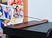 Incense sticks- Best Indian Agarbatti for your place precious variety pack perfumed Fragrance stick for you - premium collection of exceptional quality 12 different fragrances incense sticks box in 1