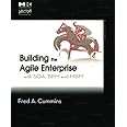 Building the Agile Enterprise: With SOA, BPM and MBM (The MK/OMG Press)