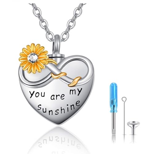 praymos Customized Cremation Jewelry Urn Necklace for Ashes Pendant Hollow Cylinder Keepsake Memorial Lockets Ashes Holder for Women Men Pet — image 1