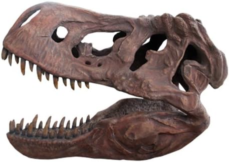 MY DINOSAURS Educational Science T-REX Skull Dinosaur Skeleton Model Replica