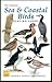 Sea & Coastal Birds Playing Cards