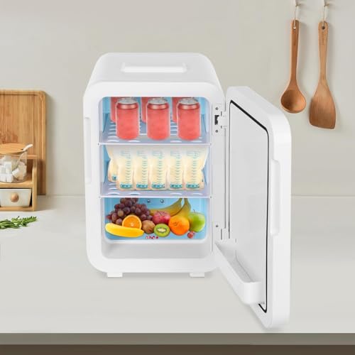 20L Mini Fridge with Temperature Control for Skincare, 220V Thermoelectric Cooler and Warmer for Drink Office Dorm Bedroom Car (20L)