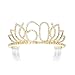 DcZeRong Queen 60 Birthday Tiara Women 60th Birthday Crown Gold Rhinestone Crystal Diamond Crown