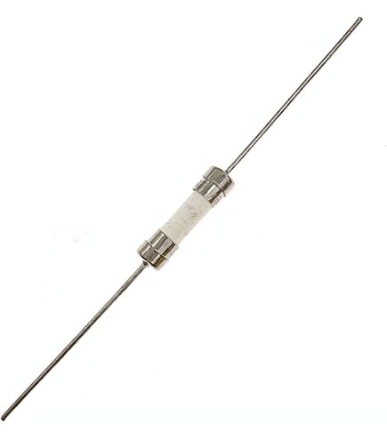 10pcs Ceramic Axial Lead Fuse T10AH250V 5x20mm/0.2