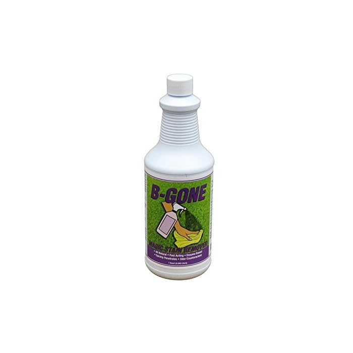 Buy BGone Magic Carpet Foul Odor & Organic Stain Remover, Fast Acting