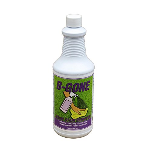 B-GONE MAGIC CARPET FOUL ODOR & ORGANIC STAIN REMOVER, FAST ACTING TRIPLE ACTION ENZYME BLOOD AND VOMIT ODOR & STAIN REMOVER AND SPOT STAIN REMOVER 32OZ