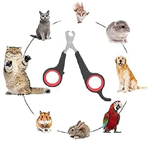MKH Pet Nail Clippers for Small Animals - Best Cat Nail Clippers & Claw Trimmer for Tiny Dog Rabbit Bird(Assorted colours)