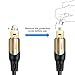 CableCreation 10FT Optical Audio Cable, Toslink Cable Male to Male Digital Optical Audio Cable with Gold-Plated Connector for Home Theater, Sound Bar, VD/CD Player, Blu-ray Players &More