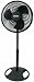 Lasko FBA 2521 Oscillating Stand Fan, 16-Inch, 1-Pack, Black Basic primary