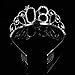 FRCOLOR Happy Birthday 80th Crystal Rhinestone Tiara Crown