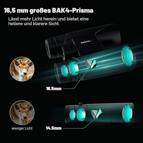 Fernglas 12x42 HD Kompakte Ferngläser wasserdicht für Vogelbeobachtung, Jagd, Wandern, Sightseeing, FMC-Linse Feldstecher inkl. Tragetasche, Tragegurt und Smartphone-Adapter