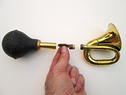 image for Folkroots Nearly Perfect MINI BULB w/free bklt & protectant...fits bic