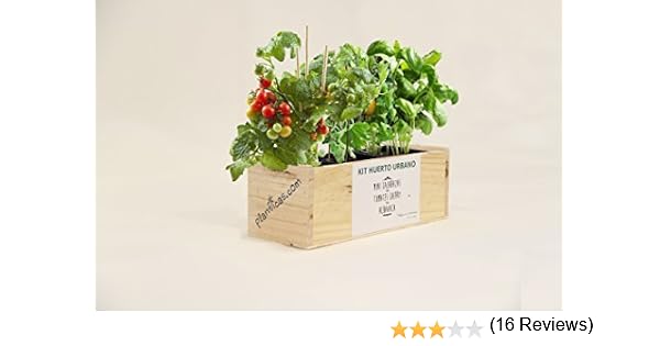 Kit de Huerto Urbano: Minicalabazas, Tomates Cherry y Albahaca ...