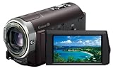 SONY(ソニー) SONY(ソニー) デジタルHDビデオカメラレコーダー HDR-CX370V T ボルドーブラウン