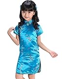 Suimiki Girls Kids Plum Flower Bamboo Chinese Qipao Cheongsam Dress
