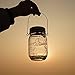 Solar Lights Outdoor,Glass Mason Jar Solar Lantern Torch Light for Patio Garden Party Table Decorations,Waterproof Landscape Pathway Lights -Dusk to Dawn Auto Light On/Off (2)