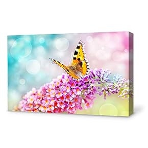Wall26-Canvas Wall Art-Beautiful Butterfly-Giclee Painting Wall Art for Bedroom Living Room Home Decoration - 12x18 inches