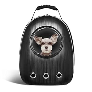 backpacks to carry your dog